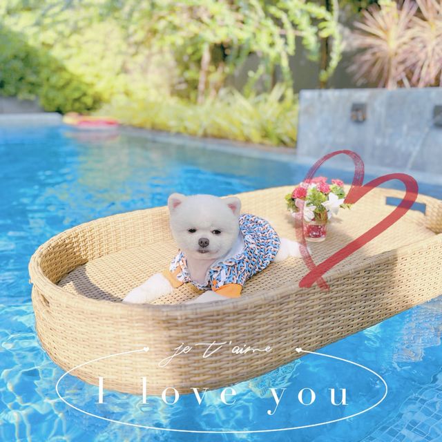 พูลวิลล่า 5 ดาว หัวหิน 🌟Pet friendly ขั้นสุด