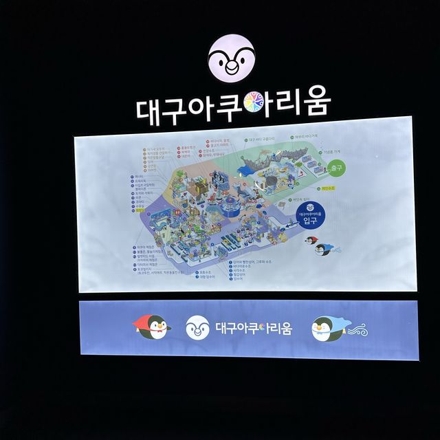 大邱の新世界デパートに水族館！？