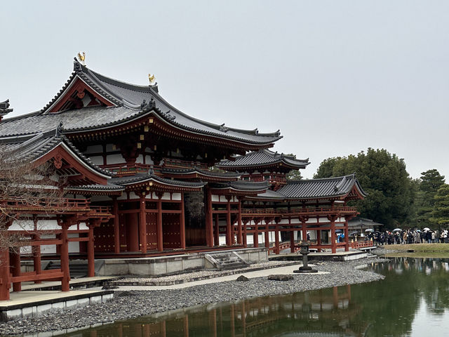 🏯 宇治平等院：日本文化遺產的瑰寶！🍵⛩️