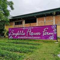 Songkhla Flower Farm