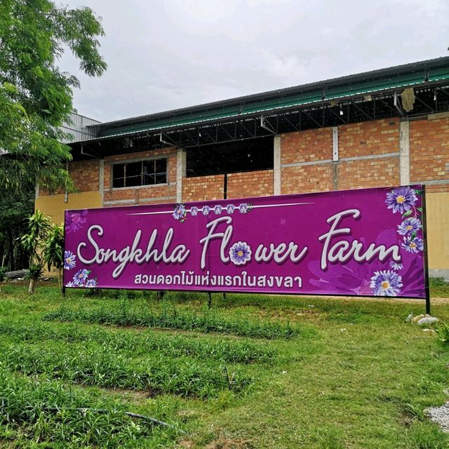 Songkhla Flower Farm
