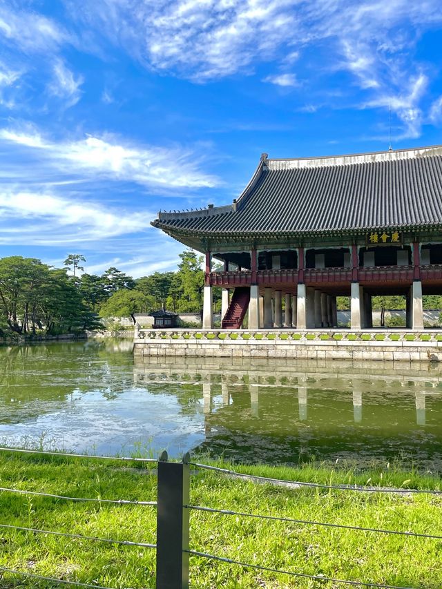 경복궁에서 즐기는 여유🍃