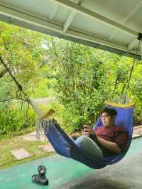A rainforest farm stay experience in Malaysia 