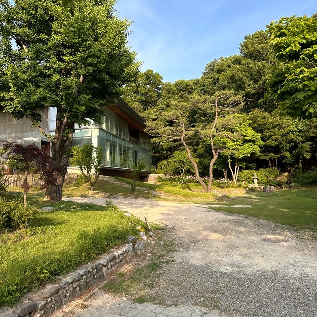 조용한 도자기카페 ‘코유’🌳🦥