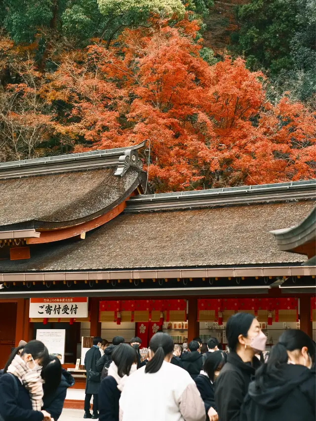 日本九州 ｜ 福岡必去景點 太宰府天滿宮⛩️