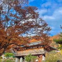 Fortune paper at Cheonggyesan Temple 