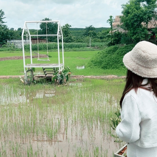 นาตาทา Cafe’ and Farm Stay