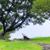 自然的寶藏中！探索八仙嶺郊野公園的美麗景色 🌳🏞️🌼 