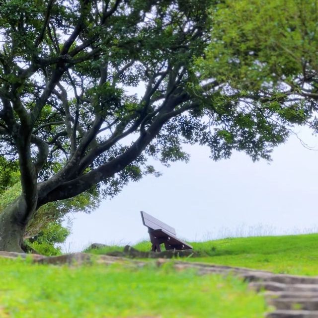 自然的寶藏中！探索八仙嶺郊野公園的美麗景色 🌳🏞️🌼 