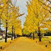 学びの森