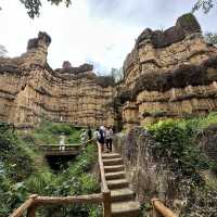 ผาช่อ Phachor (Mae Wang National Park) เชียงใหม่