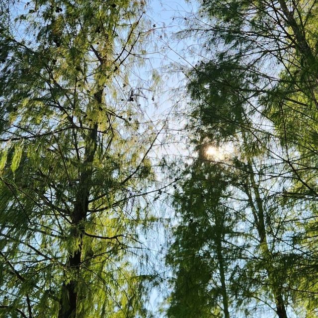 美景近在咫尺，秋高氣爽流水嚮