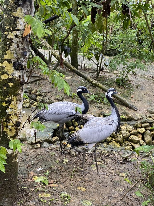 A day in the wild! ❤️❤️