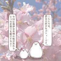 【静岡】2月に楽しむ伊豆河津桜と２つの祭り