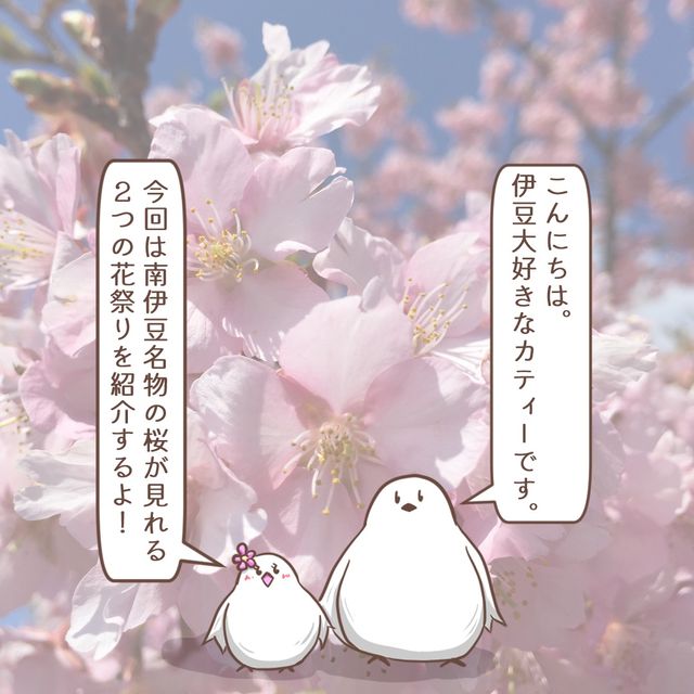 【静岡】2月に楽しむ伊豆河津桜と２つの祭り