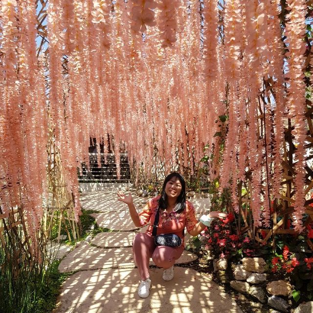 สวนร้อยใจรักษ์ อำเภอแม่อาย จังหวัดเชียงใหม่