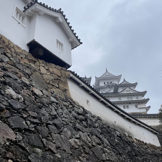 日本🇯🇵三大名城之一‼️國寶雪白姬路城🥹冬日浪漫💕日本🗾城