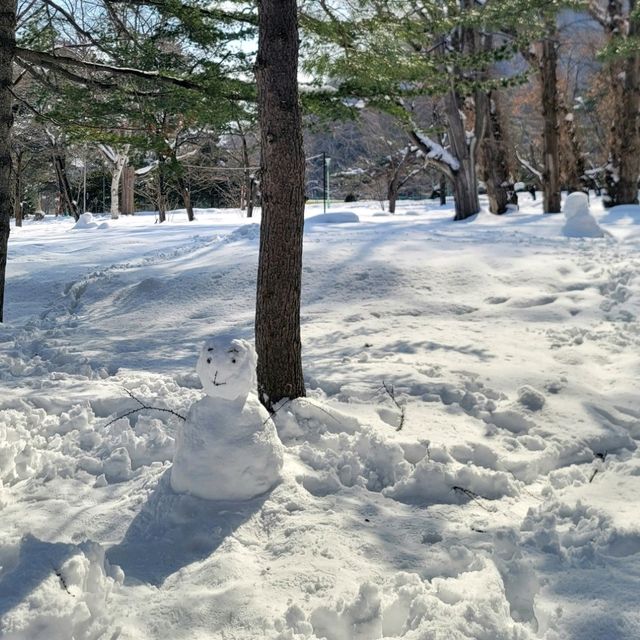 눈이 가득한 삿포로의 마루야마 공원 円山公園 일본여행