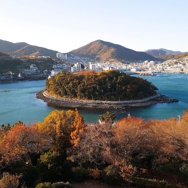 돌산대교를 한 눈에 볼 수 있는 돌산공원