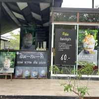 ดูบัว คาเฟ่ เพลินกับสัตว์มากมาย