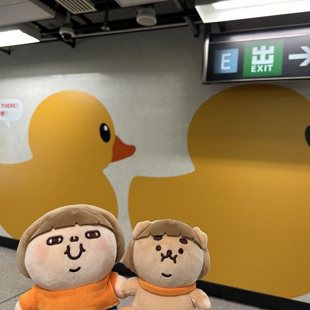 Fatty Puffy meet Duckys