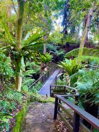 The most authentic botanical gardens yet! 🌳🍃