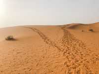 摩洛哥🇲🇦世界最大之撒哈拉沙漠🏜️(日)