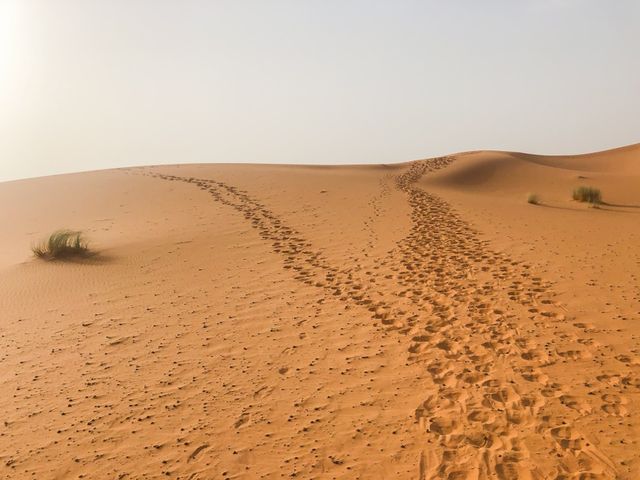 摩洛哥🇲🇦世界最大之撒哈拉沙漠🏜️(日)