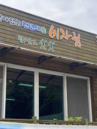 머릿속까지 맑아지는, 제주도 비자림🌴🌳🌲