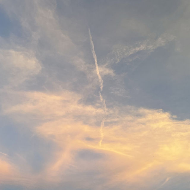 杉福漁港 🌅