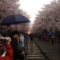 Gyeonghwa Train Station in Jinhae