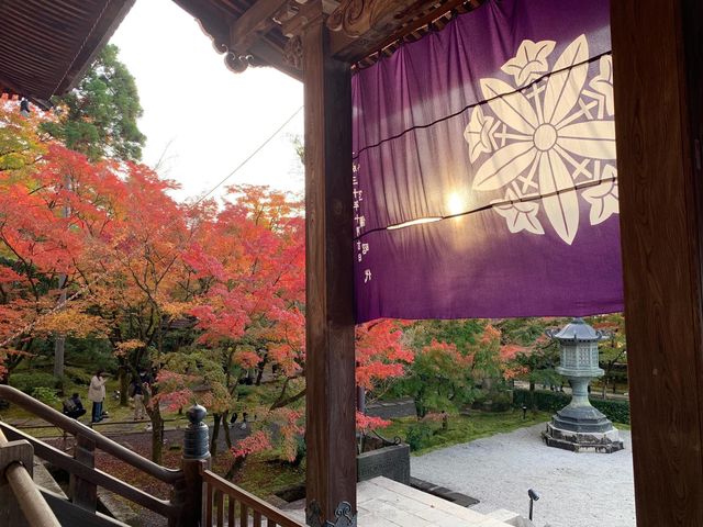 เที่ยวใบไม้เปลี่ยนสี เกียวโต วัดเอกันโดเซ็นริน ⛩️🍁