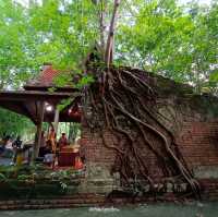 เที่ยวใกล้กรุงแถมได้บุญ กับวัดเลขธรรมกิตติ์ นครนายก
