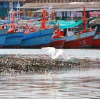 ล่องเรือชมวิถีชุมชนปากน้ำปราณ