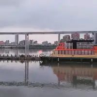 大稻埕貨櫃碼頭市集🛢享受晚霞與越夜越美麗的台北