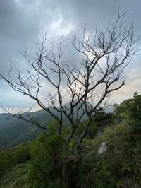 香港🇭🇰 ｜ 季節限定（秋季🍂）- 大東山 ⛰️ （上山前必看）