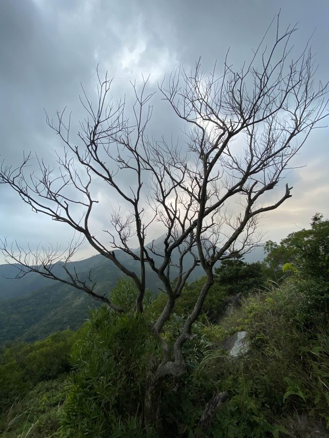 香港🇭🇰 ｜ 季節限定（秋季🍂）- 大東山 ⛰️ （上山前必看）