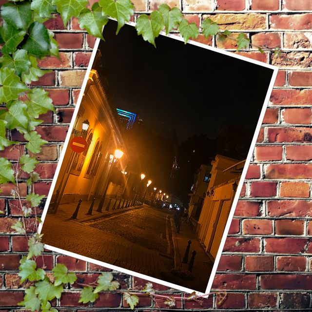 浪漫聖母堂夜景🌃 浪漫聖母堂夜景🌃