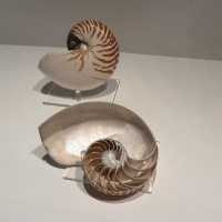 【臺中北區】自然科學館：多展區，立體電影，適合全家一日遊【8/10】