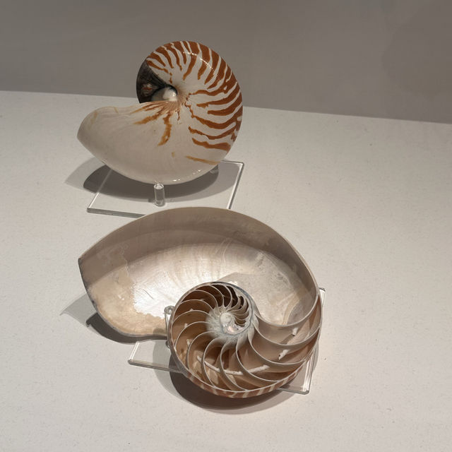 【臺中北區】自然科學館：多展區，立體電影，適合全家一日遊【8/10】