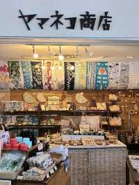 西表島の港をご紹介