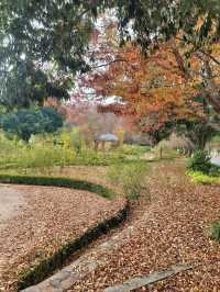 아직은 보내기 싫은 늦가을 즐기기🍁