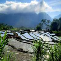 Mai Chau natural beauty 