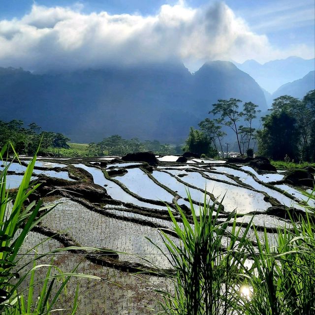 Mai Chau natural beauty 