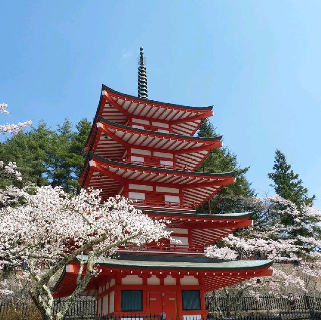 朝聖富士山第一景 新倉山淺間公園(part2)