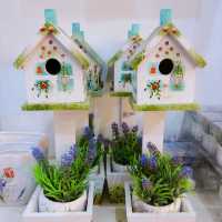 Beautiful Lavender Farm in Cameron Highlands 