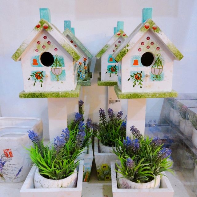 Beautiful Lavender Farm in Cameron Highlands 