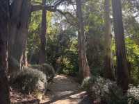Dunedin Botanic Garden 但尼丁市區植物園，野餐散步好地方