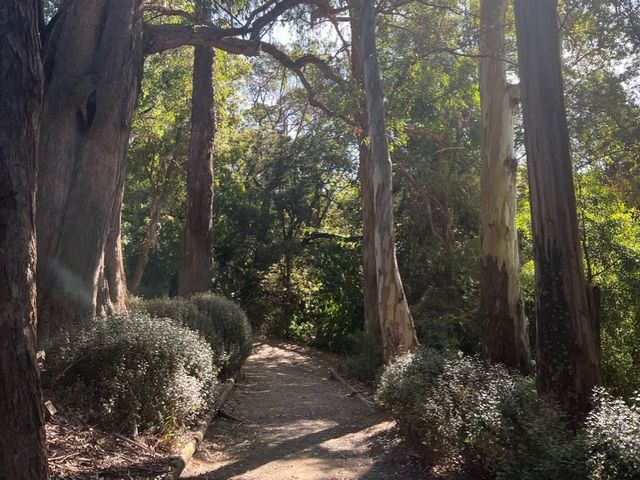 Dunedin Botanic Garden 但尼丁市區植物園，野餐散步好地方
