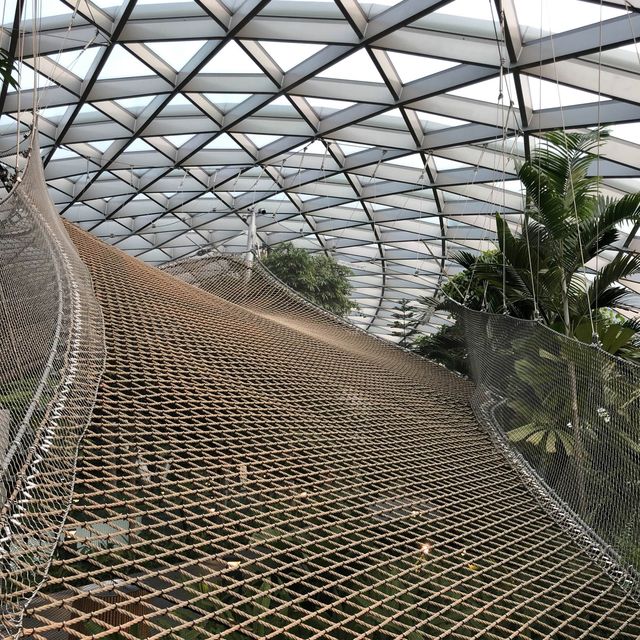 We have so much fun @ Jewel Canopy Park